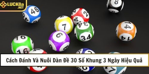 cach danh va nuoi dan de 30 so khung 3 ngay hieu qua